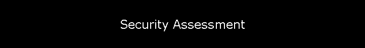 Security Assessment
