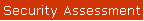 Security Assessment