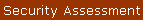 Security Assessment